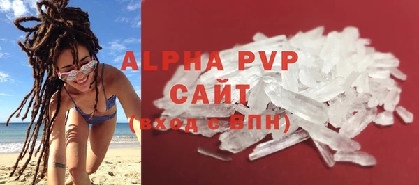 прущие грибы Козельск