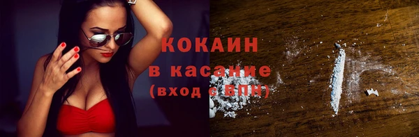 прущие грибы Козельск