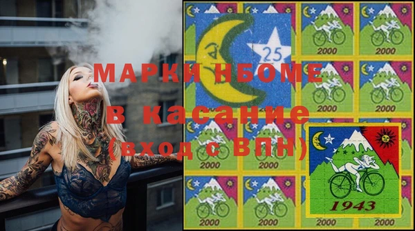 прущие грибы Козельск