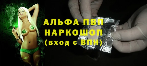 прущие грибы Козельск