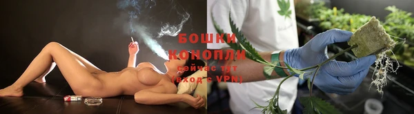 прущие грибы Козельск