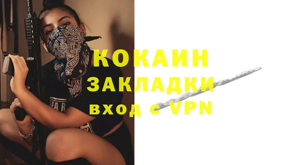 прущие грибы Козельск