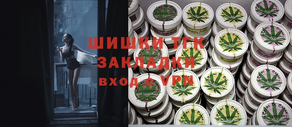 прущие грибы Козельск