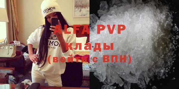 прущие грибы Козельск