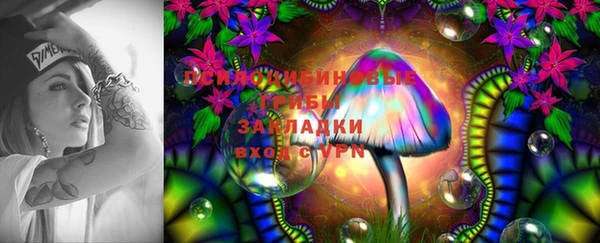 ECSTASY Кодинск