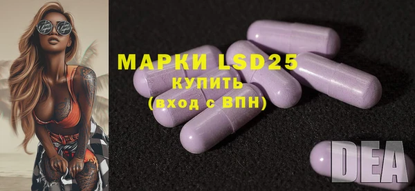ECSTASY Кодинск