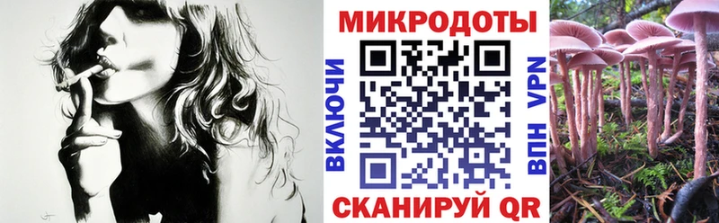 Галлюциногенные грибы Magic Shrooms  Купить где  Белозерск 